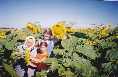 Лебідка сива, сонцем оповита...