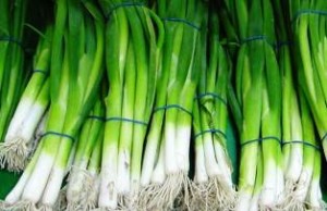 Вирощування зелені на продаж – рентабельний домашній бізнес