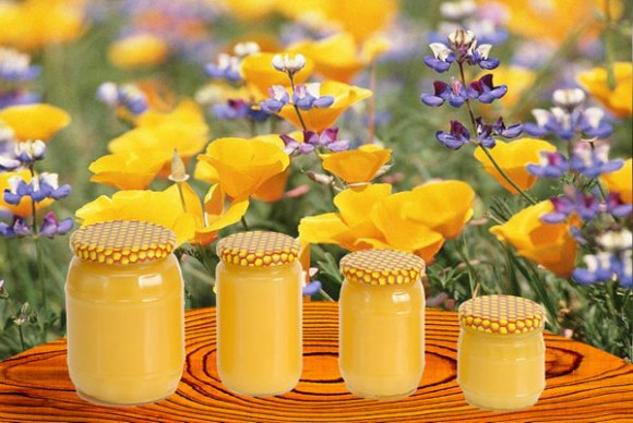 Умови зберігання меду