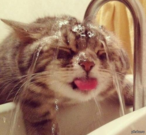 Як пережити спекотні дні