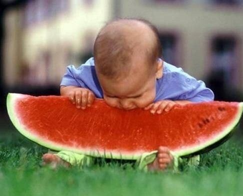 Як обрати кавун без нітратів