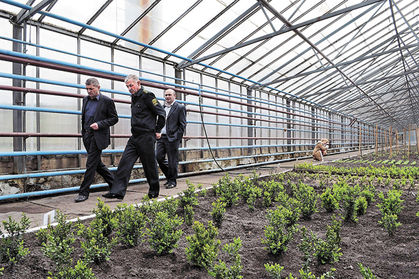 На Волині у Маневицькому лісовому господарстві відкрили цех із виробництва натурального хвойного екстракту