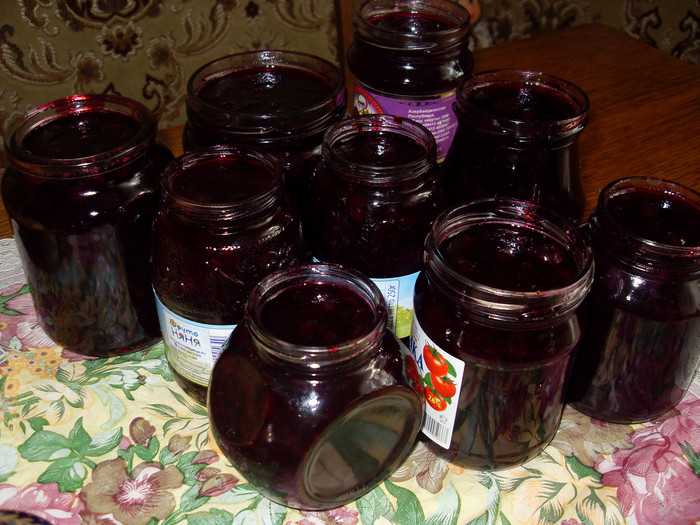 Как приготовить вкусное пюре из черной смородины