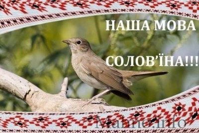 Гімн УКРАЇНСЬКІЙ МОВІ (слова і ВІДЕО)
