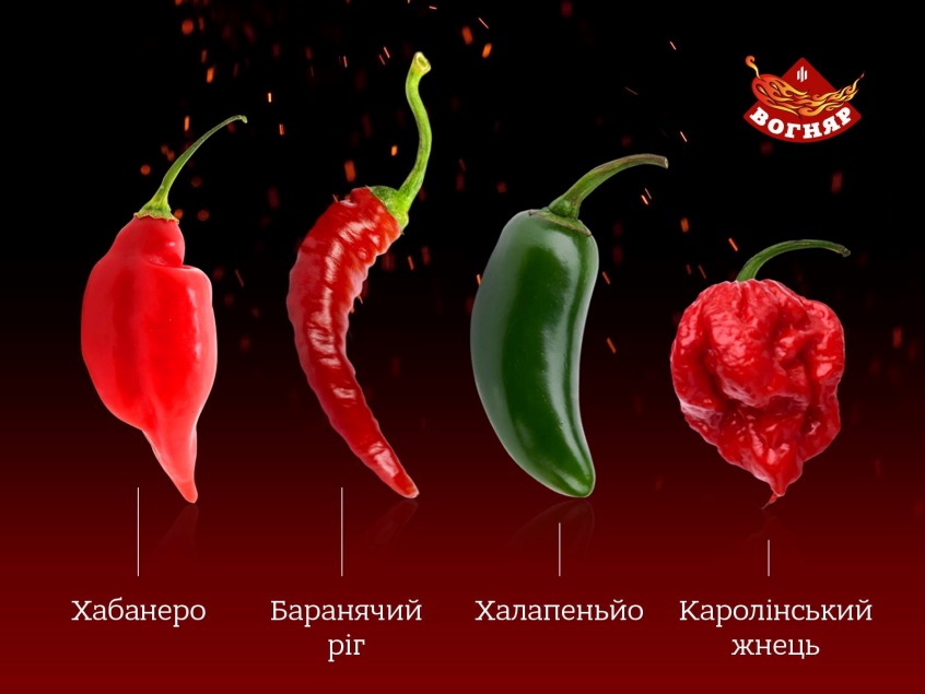Чилі…чилі…чилі… Чилі…чилі…чилі…