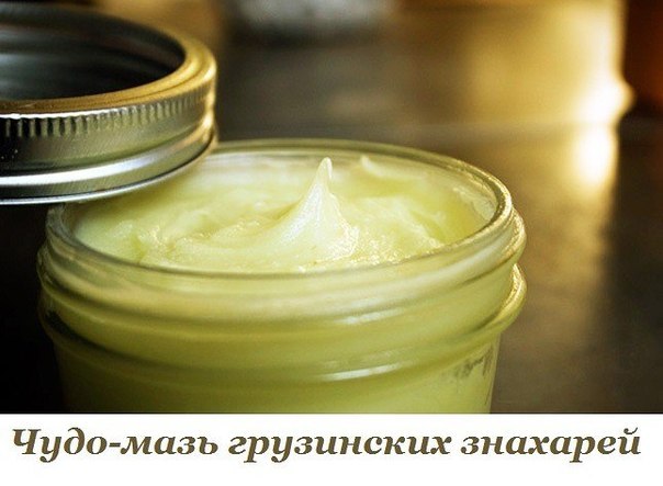 Чудо мазь грузинских знахарей Чудо мазь грузинских знахарей