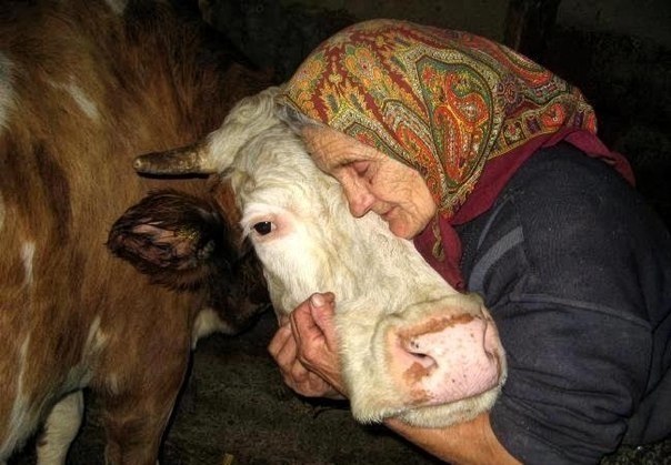 Молоко дитинства