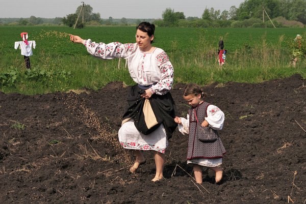 Сіємо за народними прикметами !!!