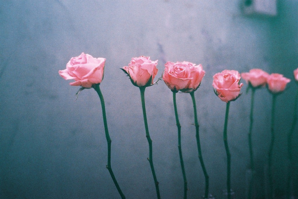 Почему правило 20 минут заставит вас сделать то, что делать не хочется?