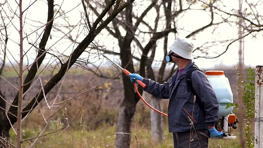 Березень - час першого обприскування саду