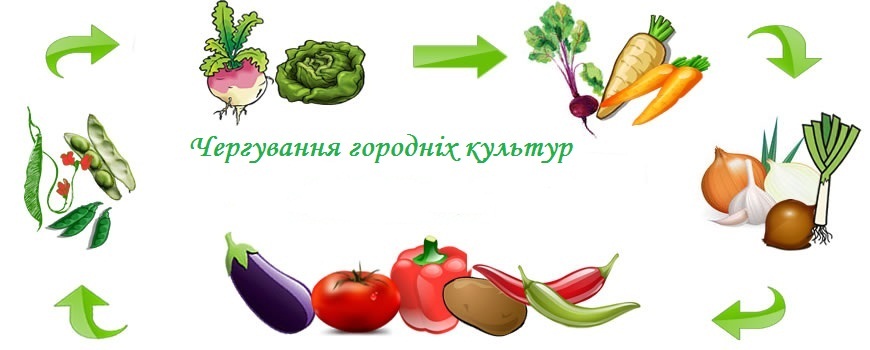 Чергування рослин