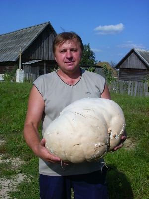 Усiм лiкам лiк - му-хо-мор!