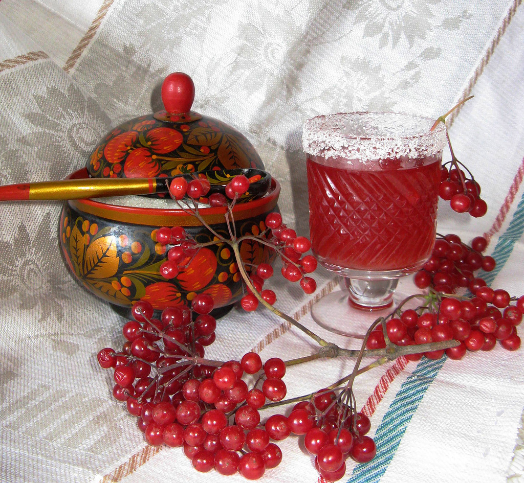 Калина стане в пригоді всім