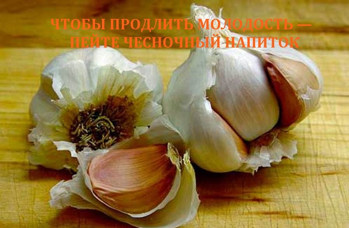 Чтобы продлить молодость — пейте чесночный напиток! Чтобы продлить молодость — пейте чесночный напиток!