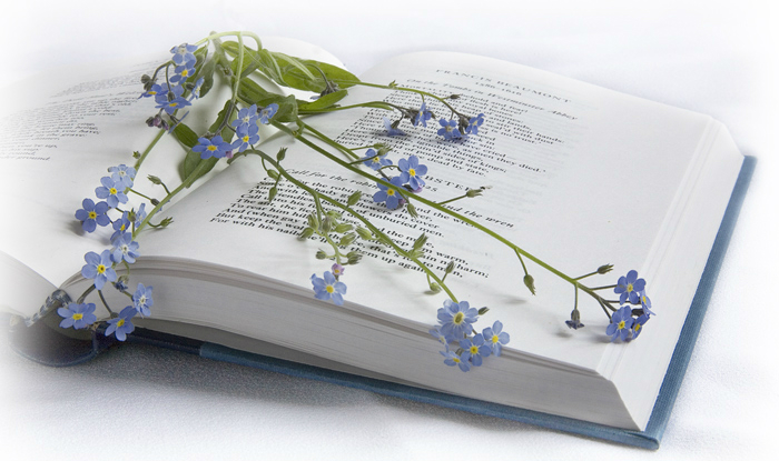11 поетичних новинок до Книжкового Арсеналу 11 поетичних новинок до Книжкового Арсеналу