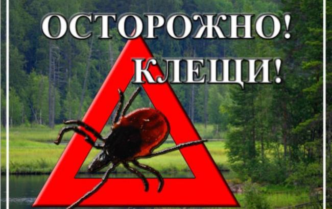 Клещи начали массовую атаку на Украину Клещи начали массовую атаку на Украину